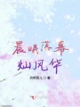 晨曦落幕燦風華