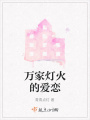 萬(wàn)家燈火的愛戀