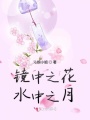 鏡中之花水中之月