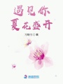 遇見(jiàn)你夏花盛開