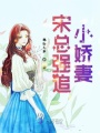 宋總強追小嬌妻