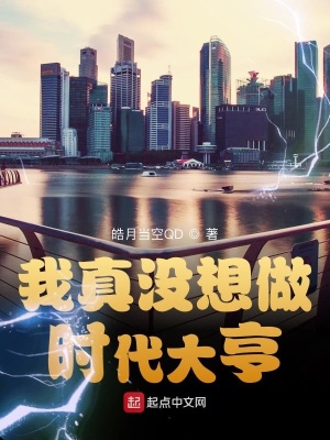 我真沒想做時代大亨