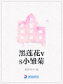 黑蓮花vs小雛菊