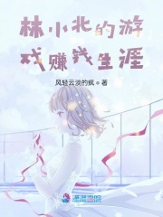 林小北的游戲賺錢生涯