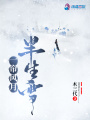 一簾風(fēng)月半生雪