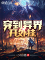 穿到異界開外掛