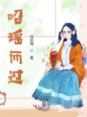 昭瑤而過