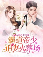 霸道帝少的追妻火葬場