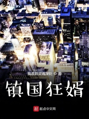 鎮國狂婿