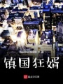 鎮國狂婿