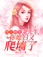 枕上婚寵：蕭先生，你媳婦又爬墻了