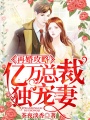 再婚攻略：億萬總裁獨(dú)寵妻