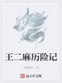 王二麻歷險(xiǎn)記