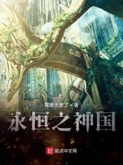 網游之神國崛起
