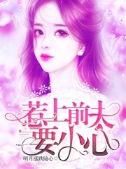 惹上前夫要小心