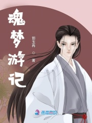 魂夢游記