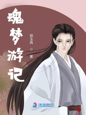 魂夢游記