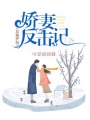 總裁護短：嬌妻反擊戰