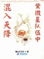混入天降紫微星隊伍中