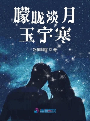 朦朧淡月玉宇寒
