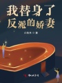 我替身了反派的娇妻