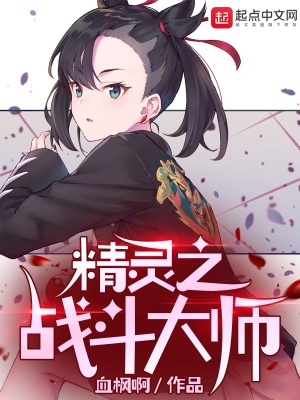 精靈之戰斗大師