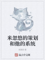 米忽悠的策劃和他的系統