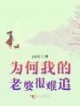 為何我的老婆很難追