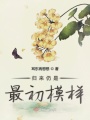 歸來仍是最初模樣