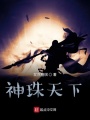 神珠天下