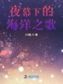 夜幕下的海洋之歌