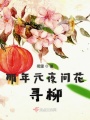 那年元夜問(wèn)花尋柳