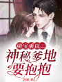 萌寶乘以二：神秘爹地要抱抱
