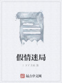 假情迷局
