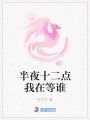 半夜十二點我在等誰