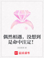 偶然相遇，沒(méi)想到是命中注定！