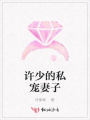 許少的私寵妻子