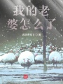 我的老婆怎么了