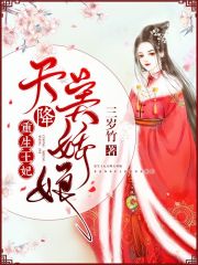 重生王妃：天降美嬌娘
