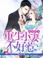 長官在上：重生小妻不好惹