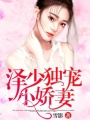澤少獨寵小嬌妻