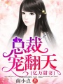 億萬甜妻：總裁寵翻天