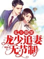 億萬(wàn)情深：龍少追妻無(wú)節(jié)制