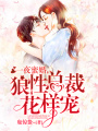 一夜蜜婚：狼性總裁花樣寵！