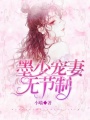 墨少寵妻無節制