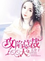 攻陷總裁100天