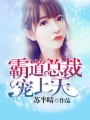 霸道總裁寵上天