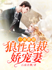一夜燃情：狼性總裁嬌寵妻