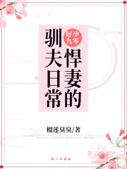 好孕九零：悍妻的馴夫日常