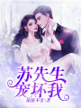 惹火嬌妻：蘇先生，寵壞我